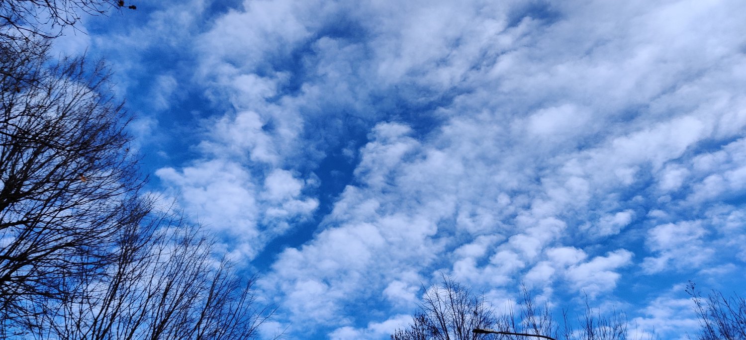 IMG_20210103_103402