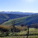IMG_20201231_101743