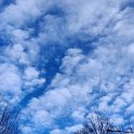 IMG_20210103_103402