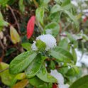 IMG_20210110_135853_Bokeh
