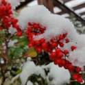 IMG_20210110_135901_Bokeh