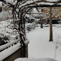 IMG_20210213_095319