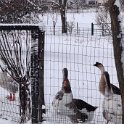 IMG_20210213_114035