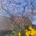 IMG_20210313_095129