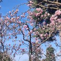 IMG_20210313_095153