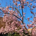 IMG_20210328_084027