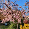 IMG_20210328_084044
