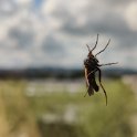 IMG_20210414_112112