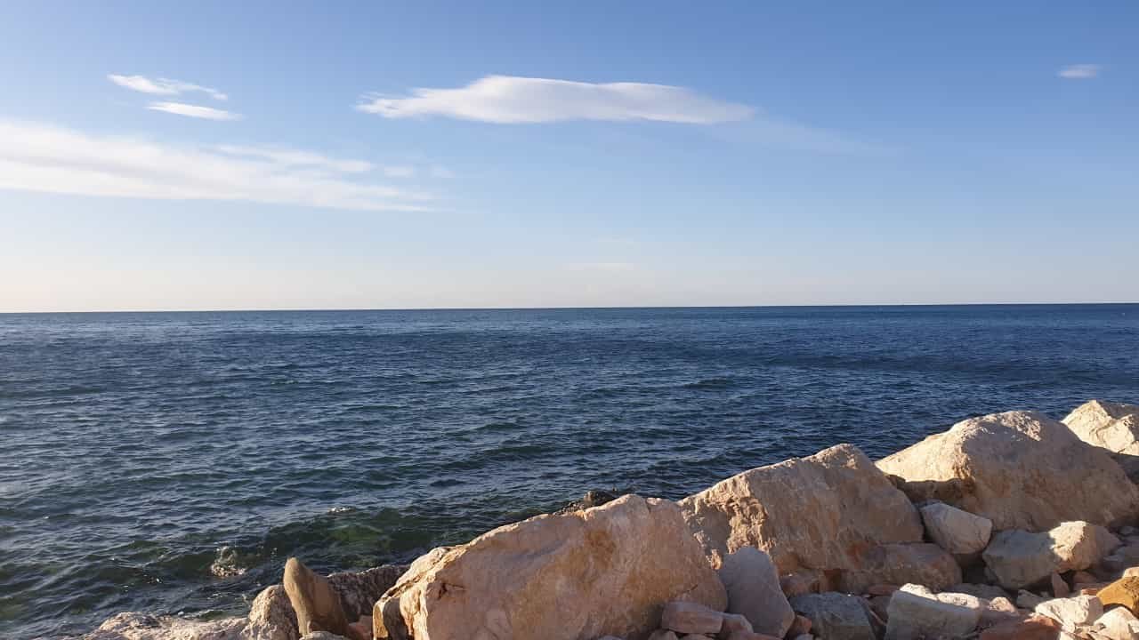 IMG-20210502-WA0018