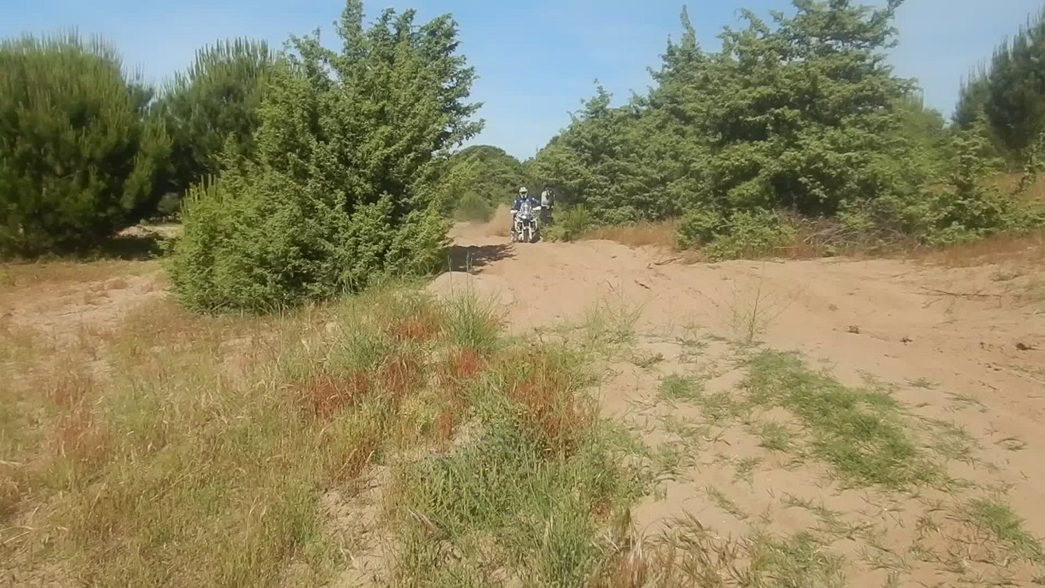 Play video