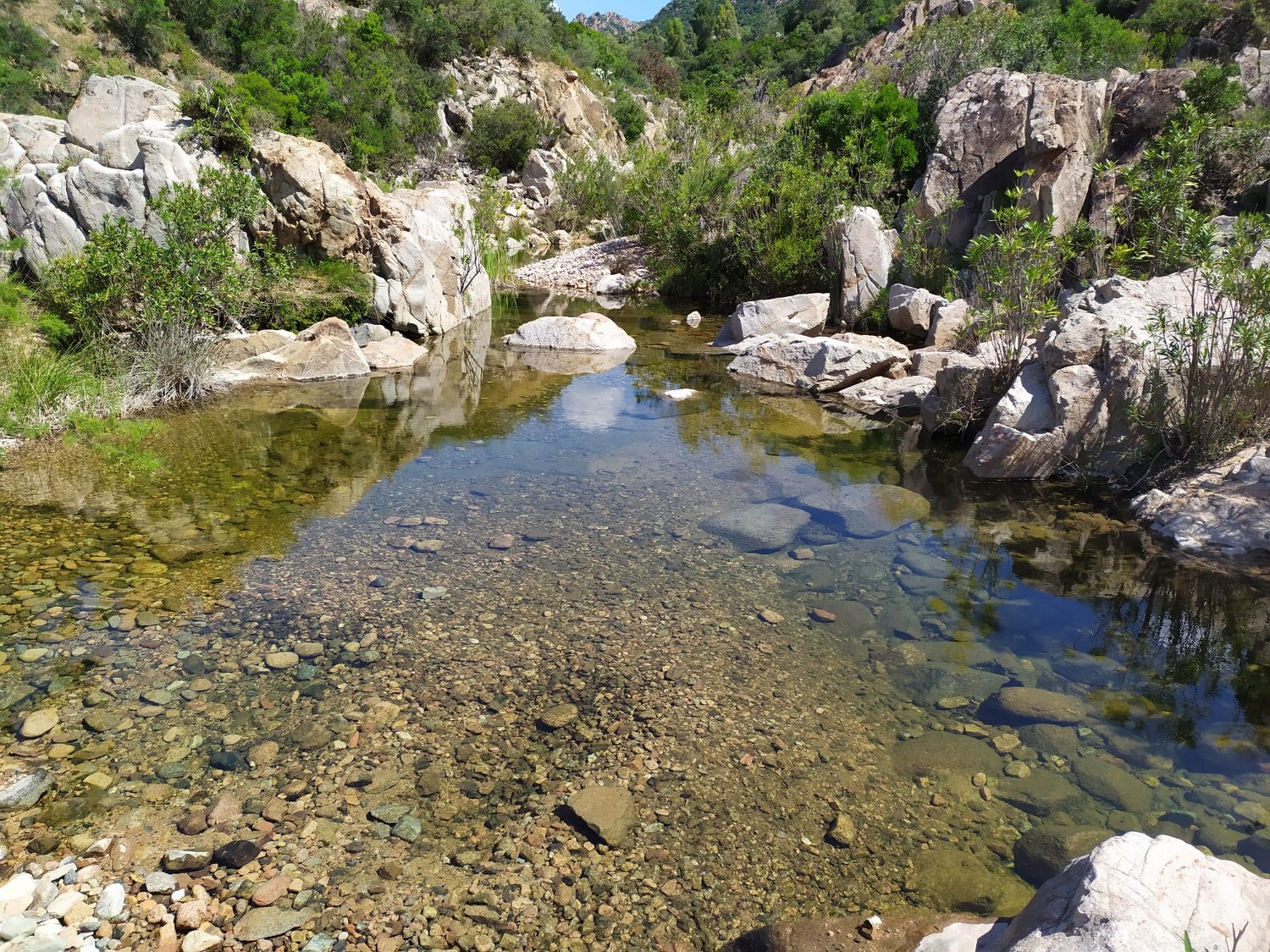 IMG-20210519-WA0010