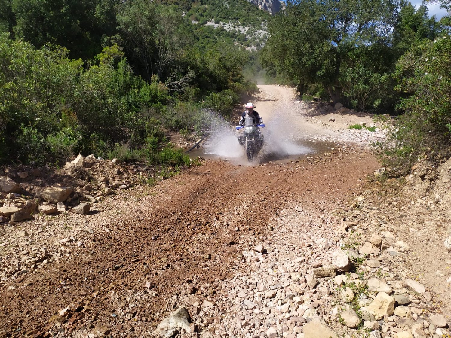 IMG-20210519-WA0069