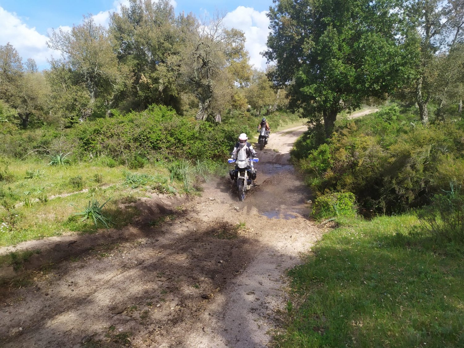 IMG-20210520-WA0021