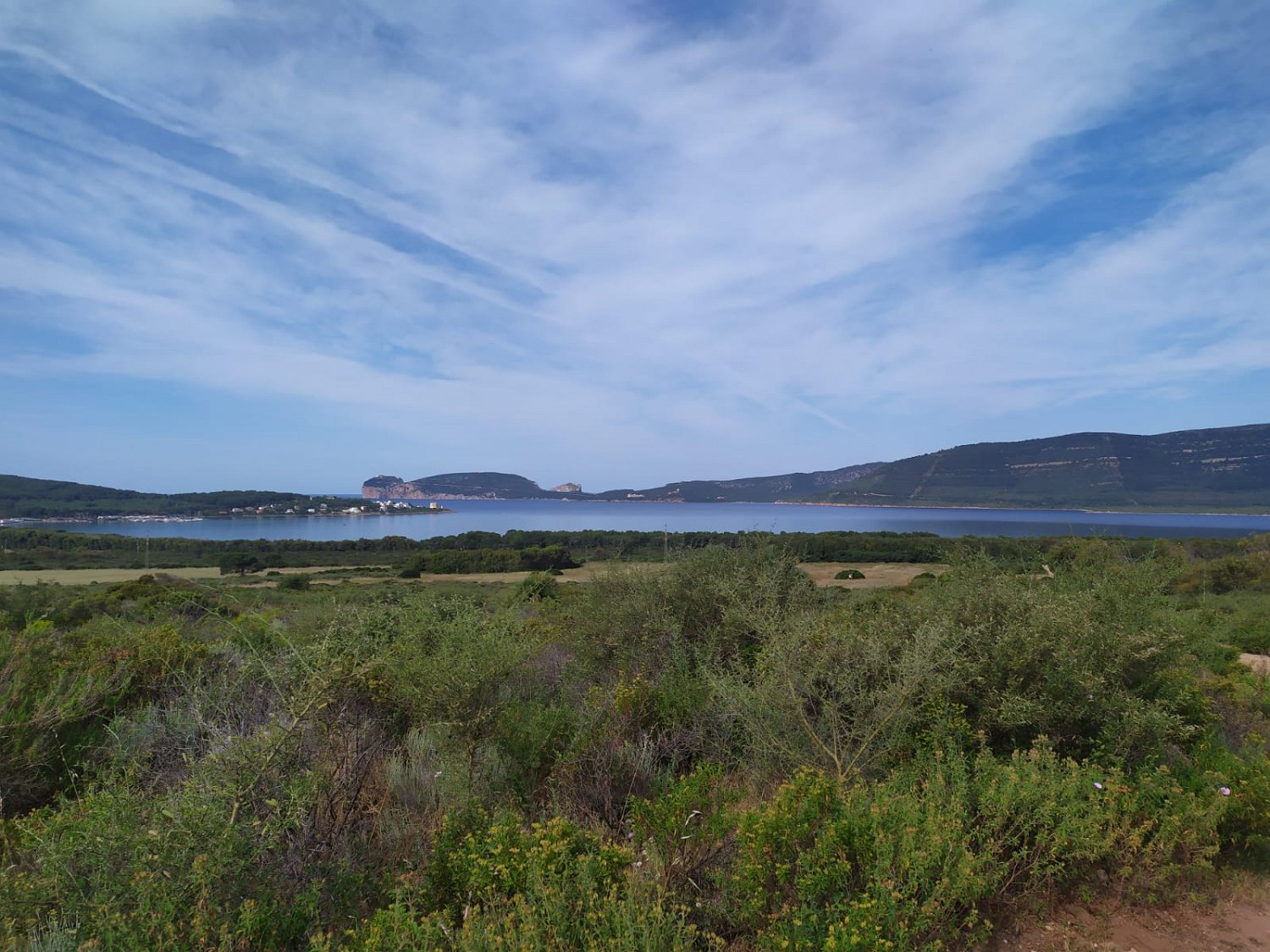 IMG-20210522-WA0006