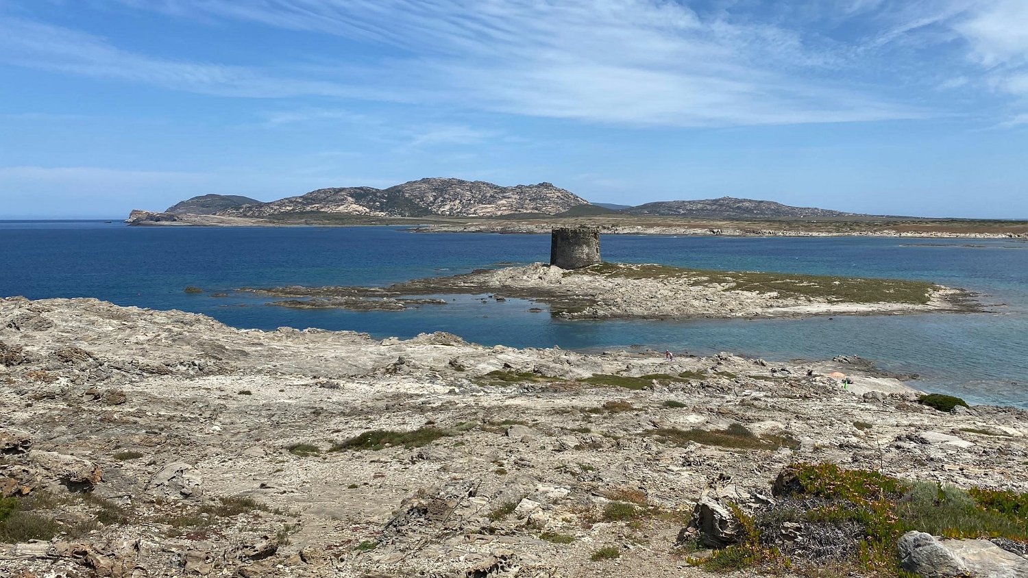 IMG-20210522-WA0019