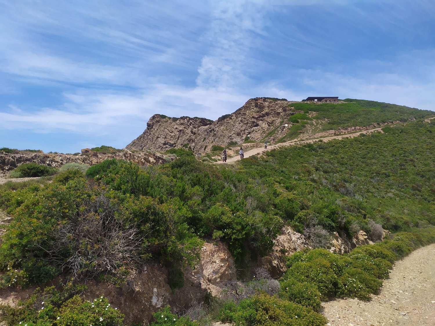 IMG-20210522-WA0022
