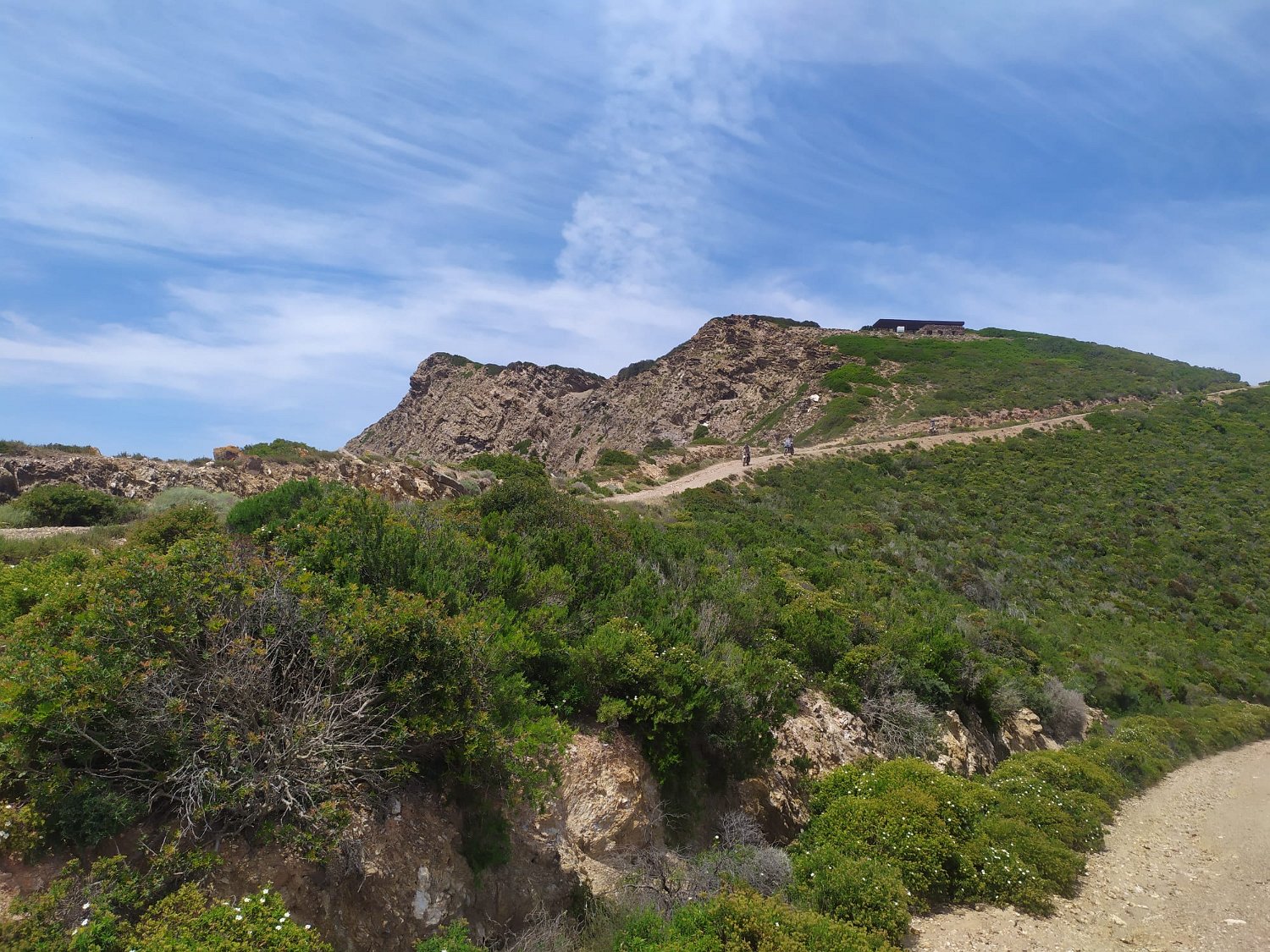 IMG-20210522-WA0031