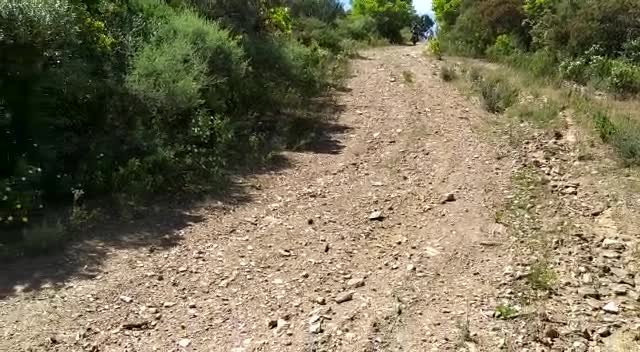 Play video