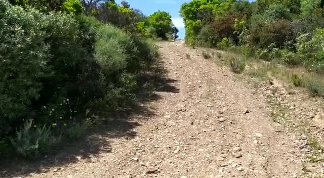 Play video