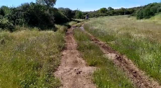 Play video