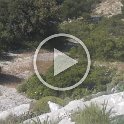 DSCN9254