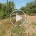 DSCN9355