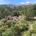 IMG-20210519-WA0019