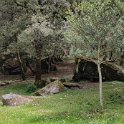 IMG_20210517_130958