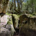 IMG_20210517_135141_Bokeh