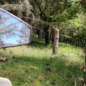 IMG_20210517_144203