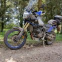 IMG_20210517_144747_Bokeh