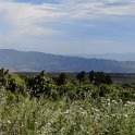 IMG_20210518_101943