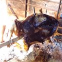 IMG_20210521_203321