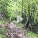 VID-20210516-WA0029