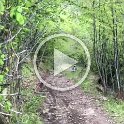 VID-20210516-WA0030