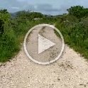 VID-20210517-WA0063
