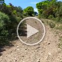 VID-20210518-WA0032