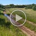 VID-20210518-WA0033