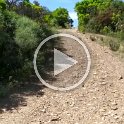 VID-20210518-WA0034