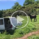 VID-20210518-WA0079
