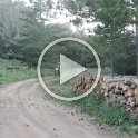 VID-20210519-WA0008