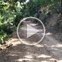 VID-20210519-WA0037