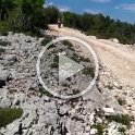 VID-20210519-WA0093