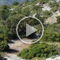 VID-20210520-WA0091