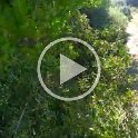 VID-20210521-WA0022