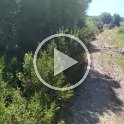 VID-20210521-WA0025