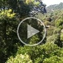 VID-20210521-WA0117