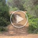 VID-20210522-WA0025