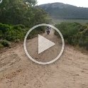 VID-20210522-WA0026