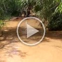 VID-20210522-WA0038